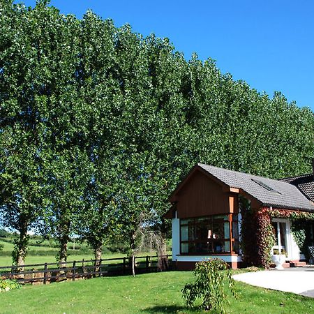 The Bungalow Farmhouse Clomantagh Exteriér fotografie