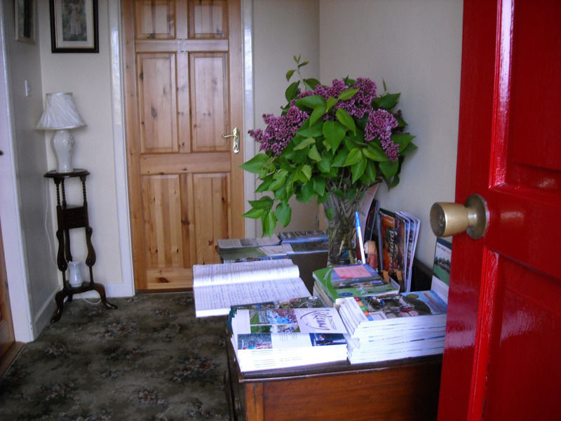 The Bungalow Farmhouse Clomantagh Exteriér fotografie