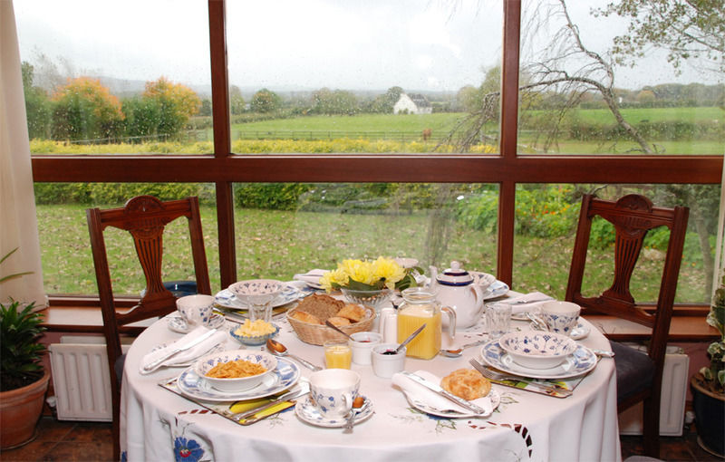 The Bungalow Farmhouse Clomantagh Exteriér fotografie